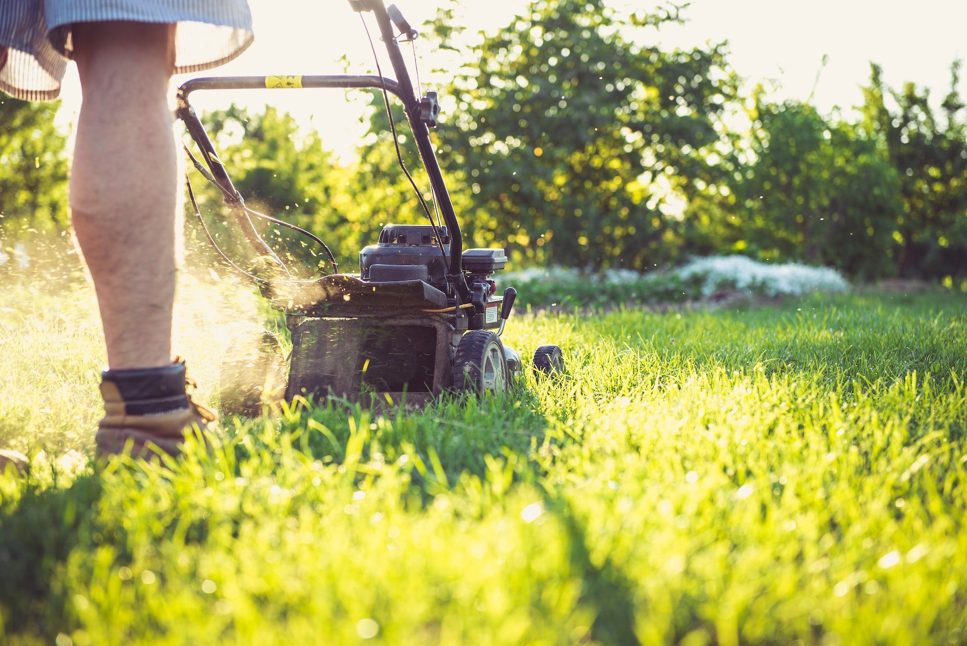 5 Lawn Care Ideas Everyone Should Follow in Fall Weather